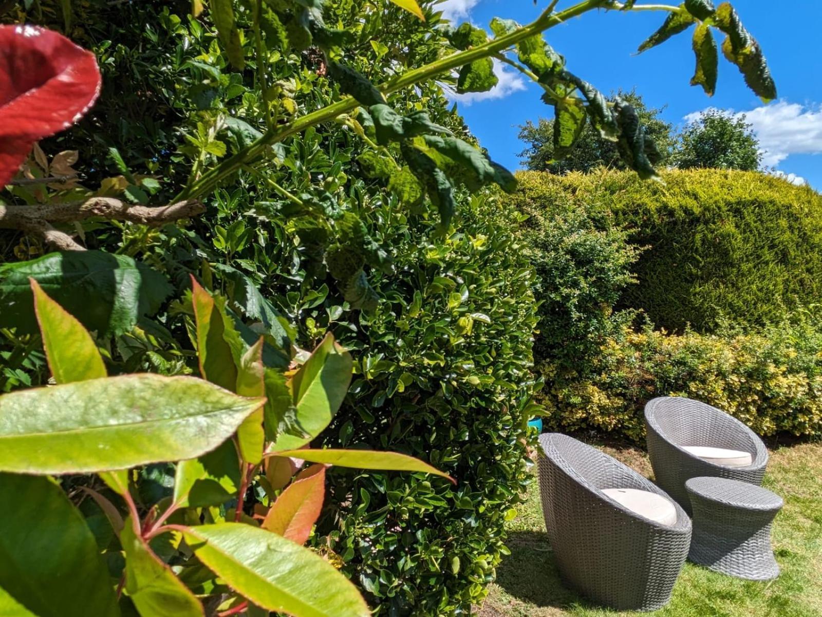 Cozy - Close To London * Epsom